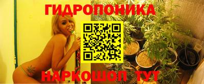 тгк Заволжье