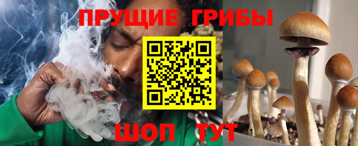 Псилоцибиновые грибы прущие грибы Екатеринбург