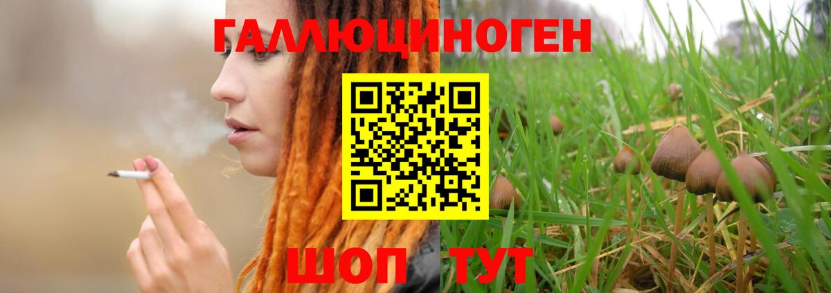 Галлюциногенные грибы прущие грибы  Вход с VPN  Екатеринбург 